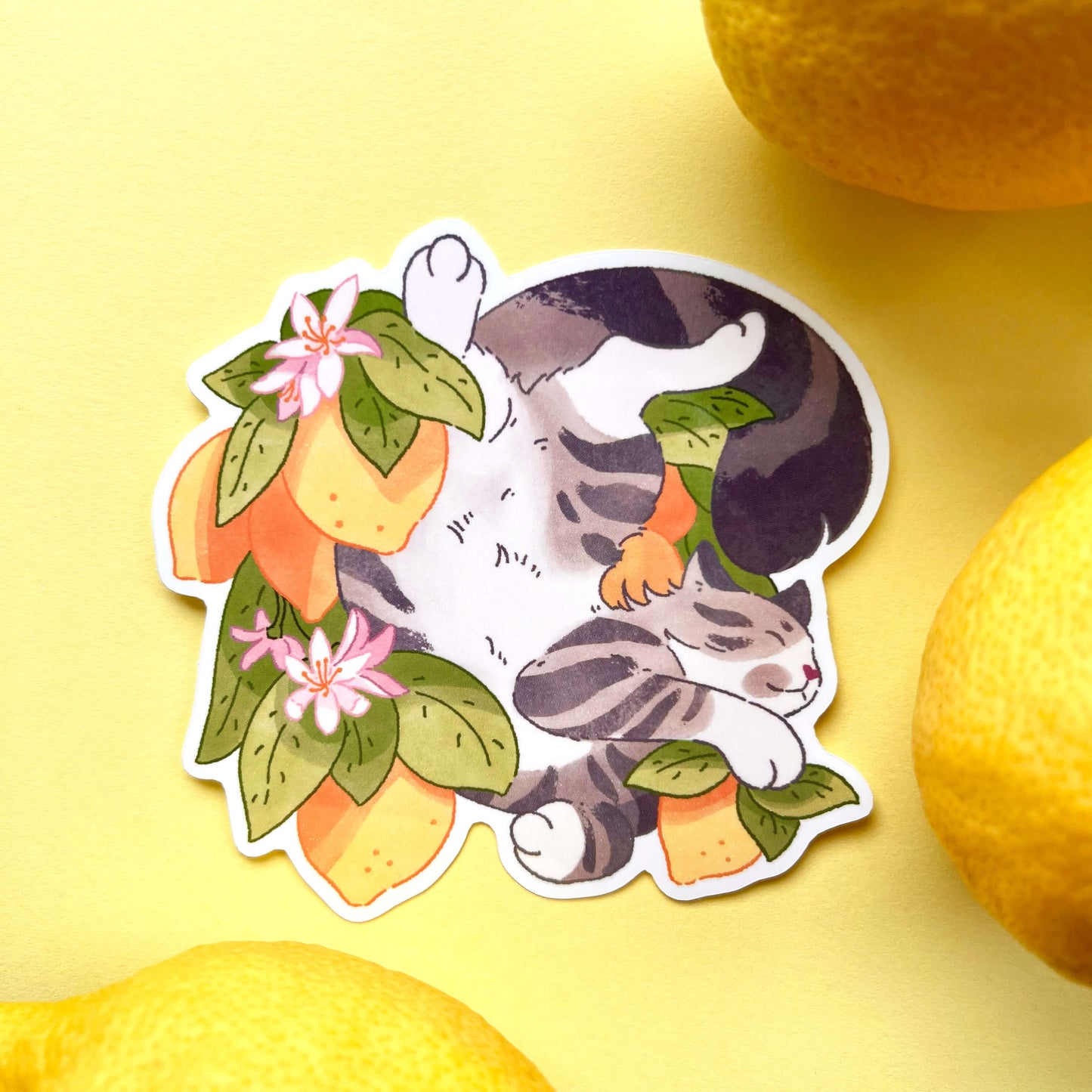 Lemon Cat Sticker [LARGE]